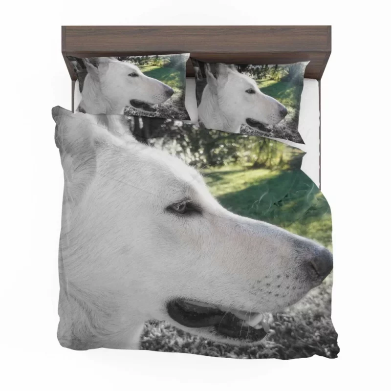 Swiss Shepherds Loyal and Playful Bedding Set 1