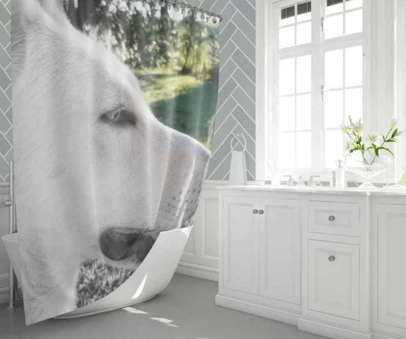 Swiss Shepherds Loyal and Playful Shower Curtain 1