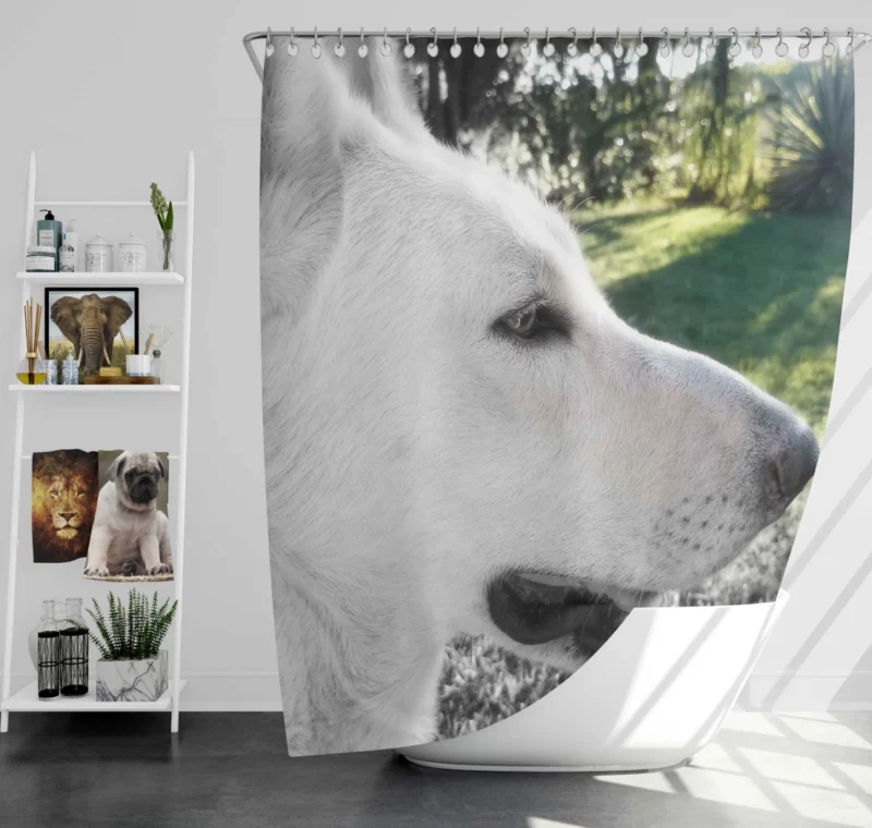 Swiss Shepherds Loyal and Playful Shower Curtain