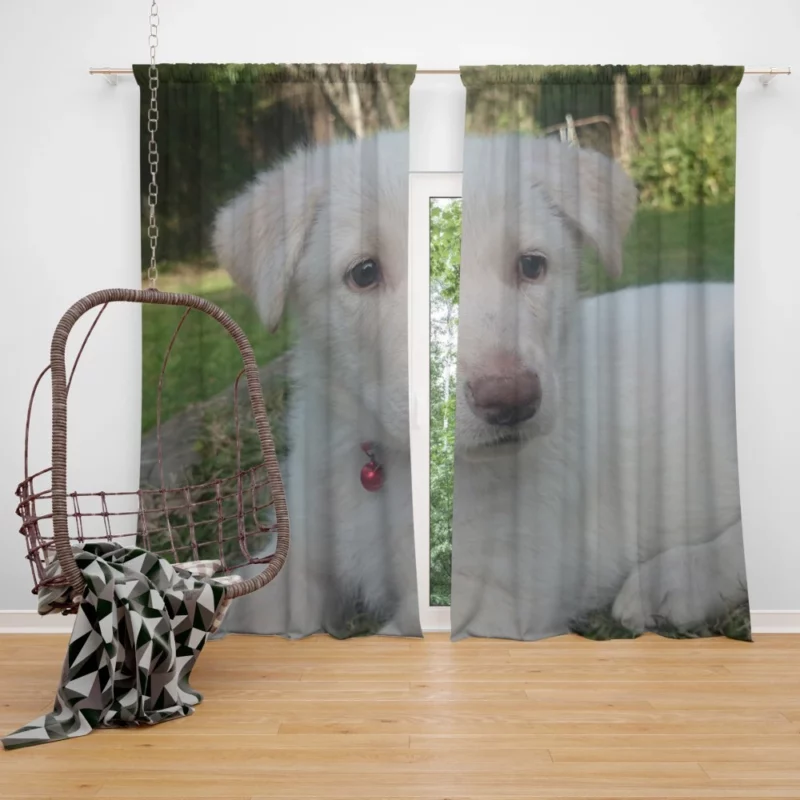 Swiss Shepherds Snowy Charm Puppy Love Curtain