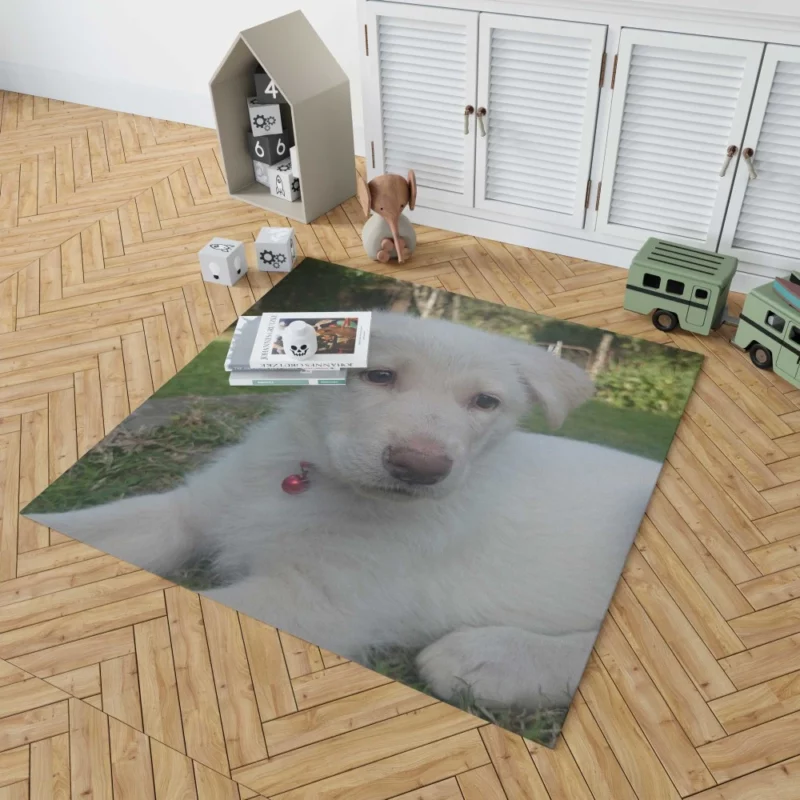 Swiss Shepherds Snowy Charm Puppy Love Rug 1