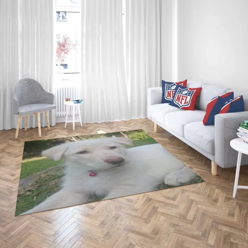 Swiss Shepherds Snowy Charm Puppy Love Rug 2