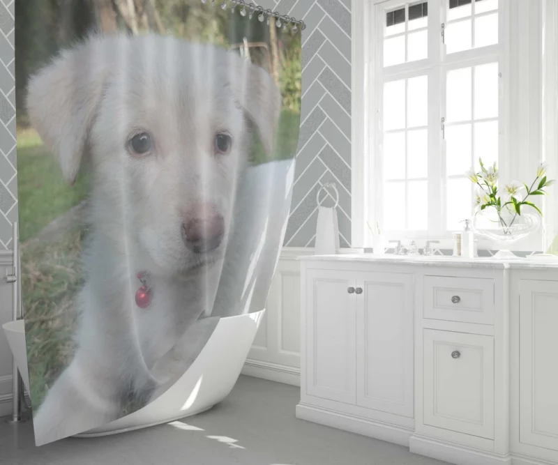 Swiss Shepherds Snowy Charm Puppy Love Shower Curtain 1