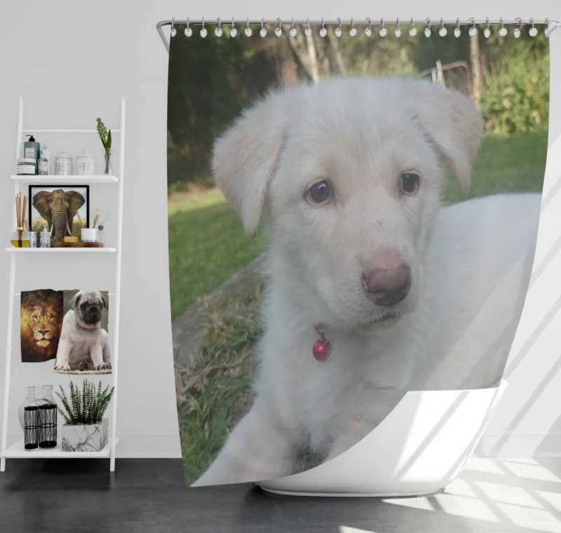 Swiss Shepherds Snowy Charm Puppy Love Shower Curtain