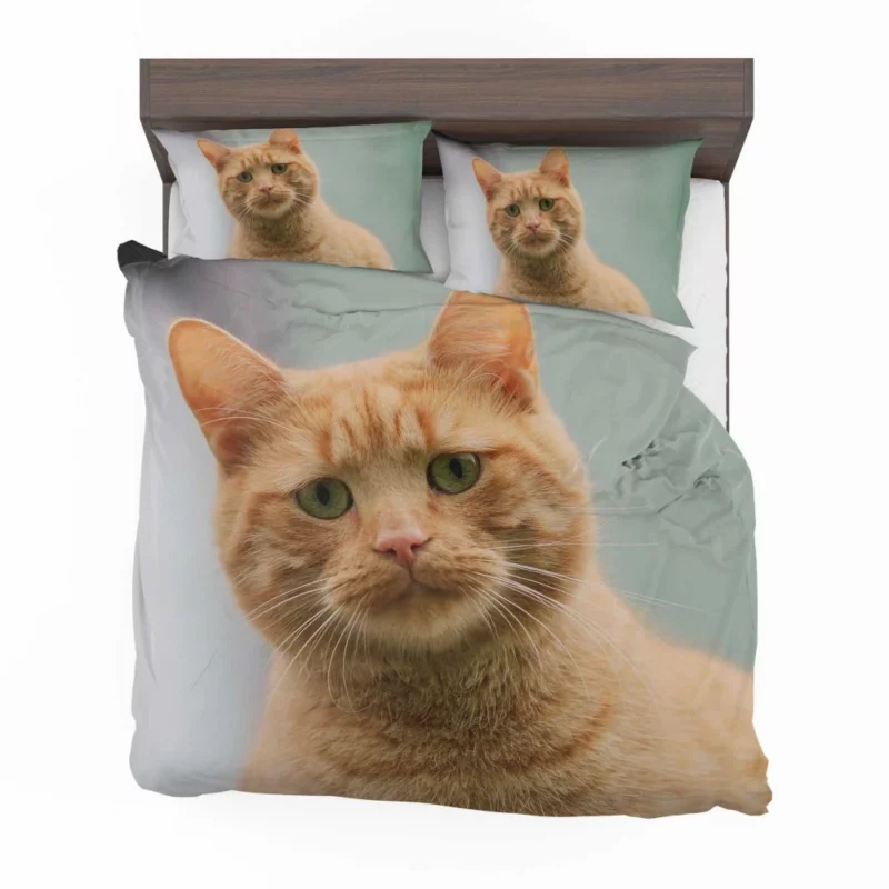 THE SADCAT BLUES Feline Melancholy Bedding Set 1