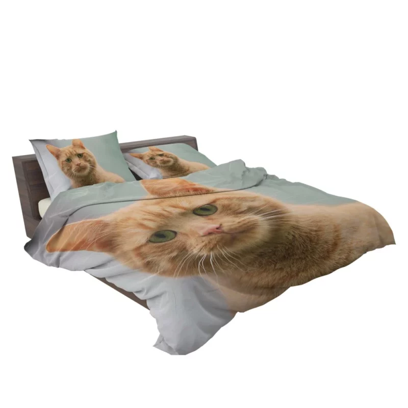 THE SADCAT BLUES Feline Melancholy Bedding Set 2