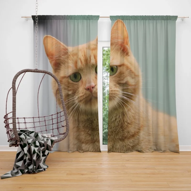 THE SADCAT BLUES Feline Melancholy Curtain