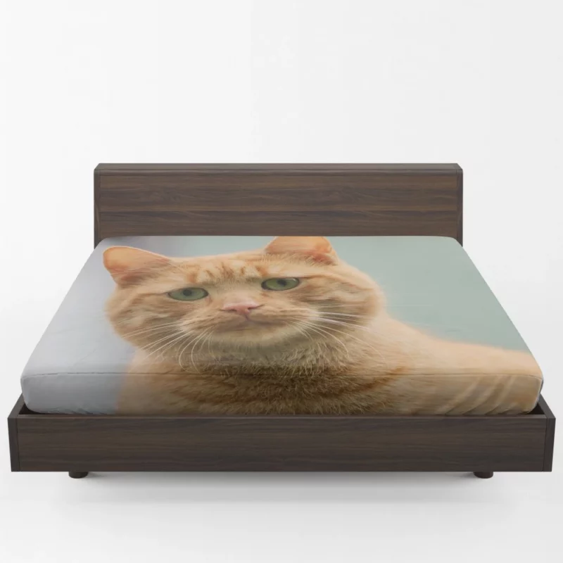 THE SADCAT BLUES Feline Melancholy Fitted Sheet