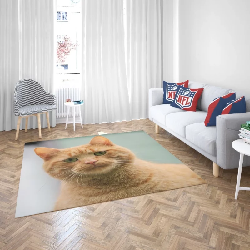 THE SADCAT BLUES Feline Melancholy Rug 2