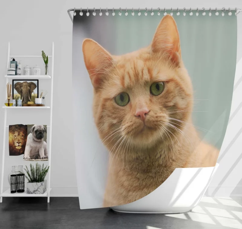 THE SADCAT BLUES Feline Melancholy Shower Curtain