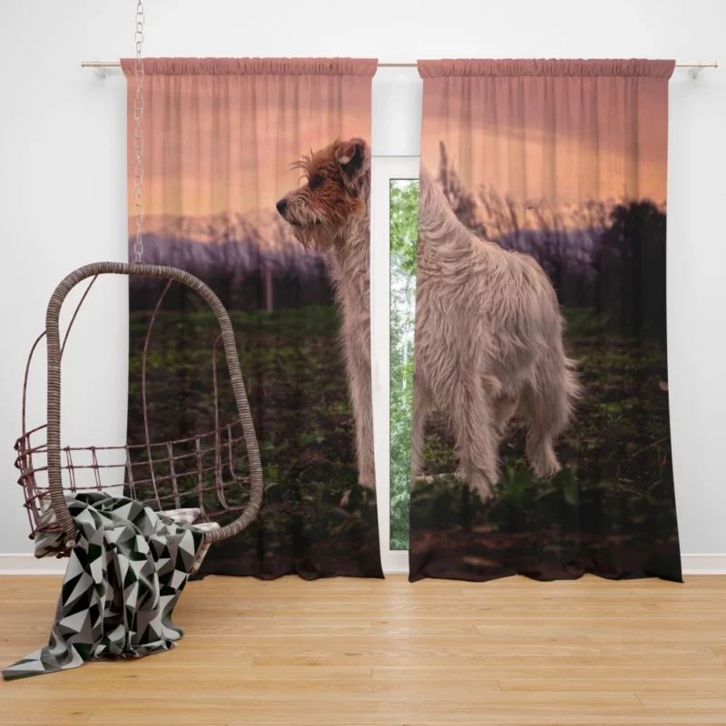 Terrier Charismatic Stance Playful Elegance Curtain