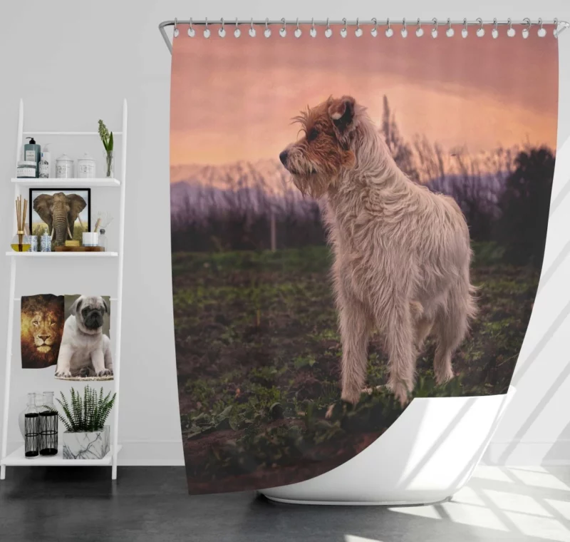 Terrier Charismatic Stance Playful Elegance Shower Curtain