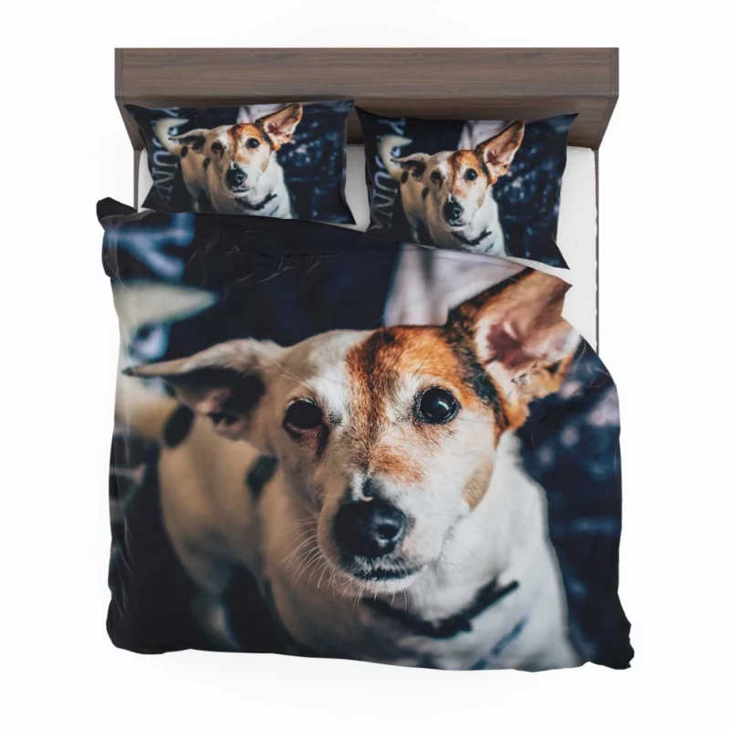 Terrier Muzzle in Focus Canine Grace Bedding Set 1