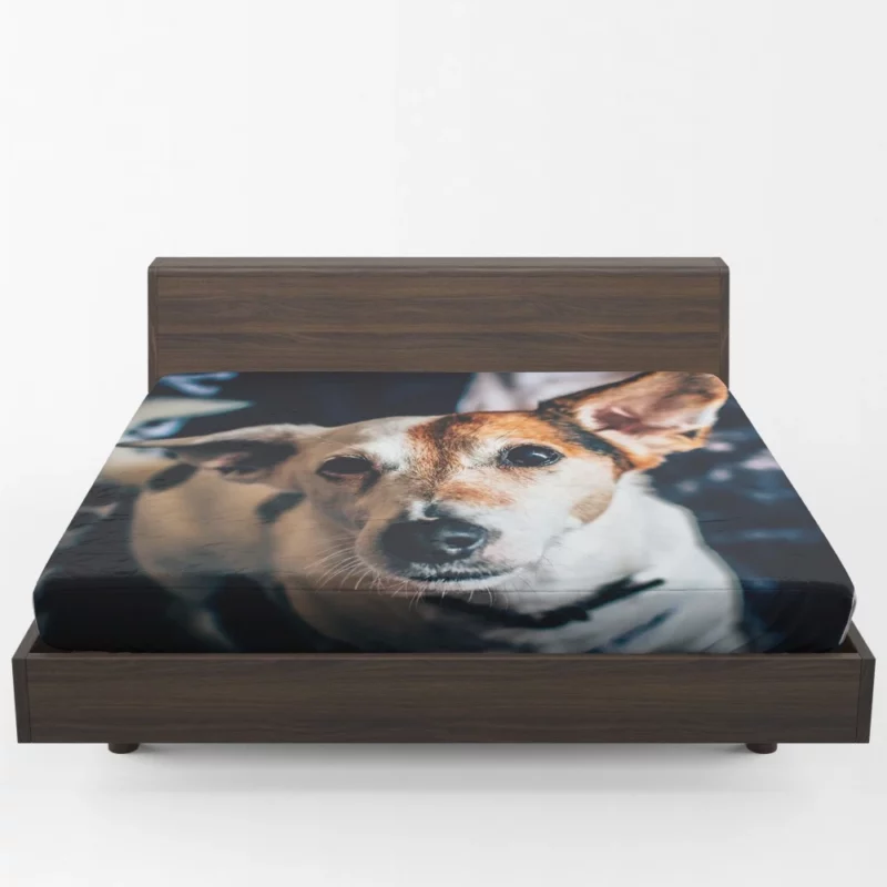 Terrier Muzzle in Focus Canine Grace Fitted Sheet