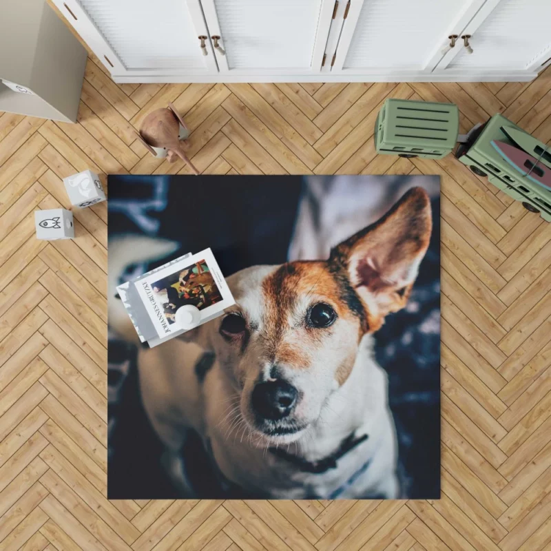 Terrier Muzzle in Focus Canine Grace Rug