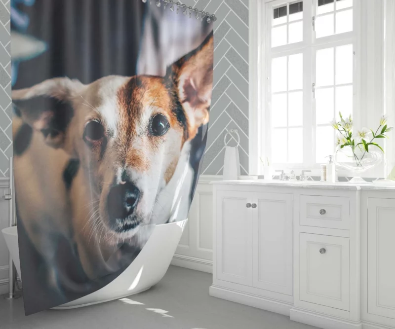 Terrier Muzzle in Focus Canine Grace Shower Curtain 1