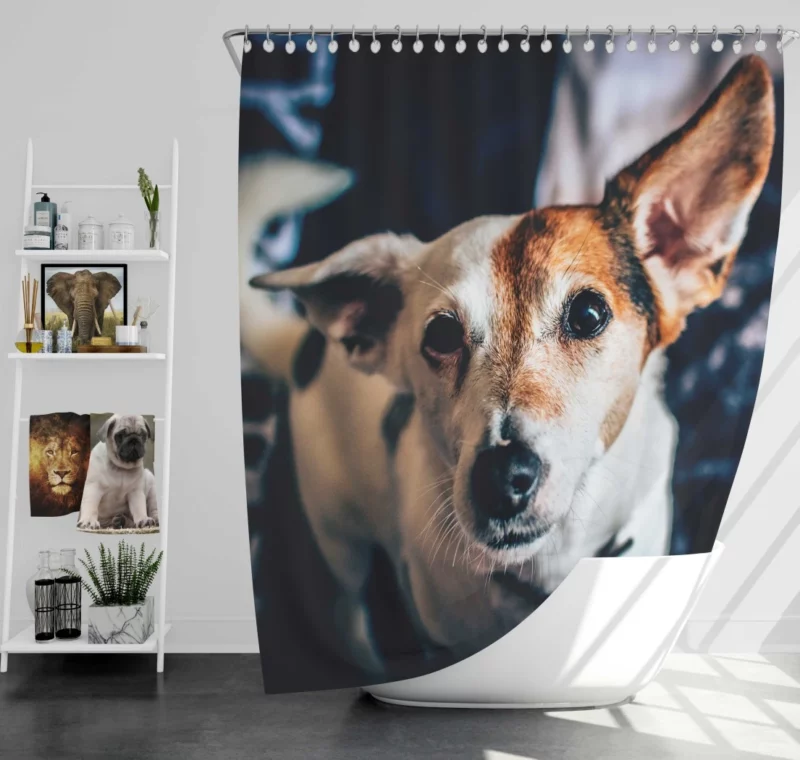 Terrier Muzzle in Focus Canine Grace Shower Curtain