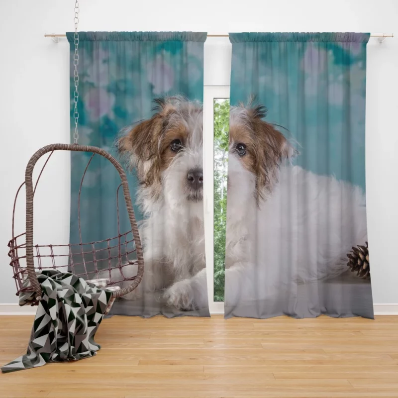 Terrier Playful Pose Furry Adventure Curtain