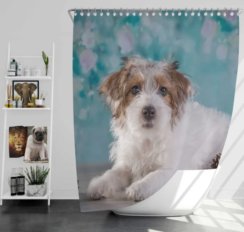 Terrier Playful Pose Furry Adventure Shower Curtain