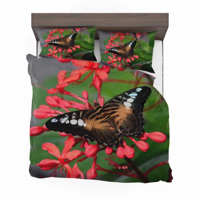 The Clipper Butterfly Red Floral Delight Bedding Set 1