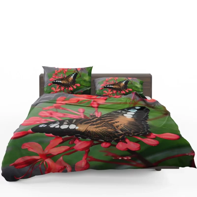 The Clipper Butterfly Red Floral Delight Bedding Set