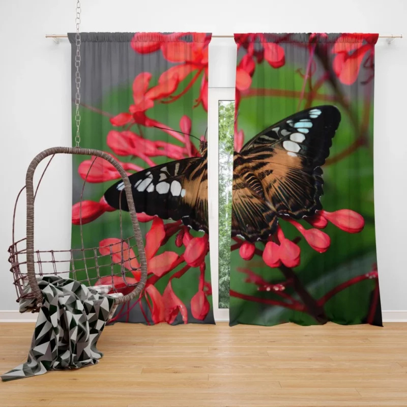 The Clipper Butterfly Red Floral Delight Curtain