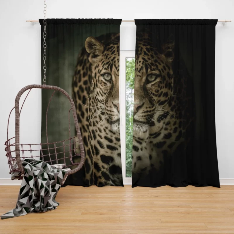 The Prowling Leopard Silent Hunter Curtain