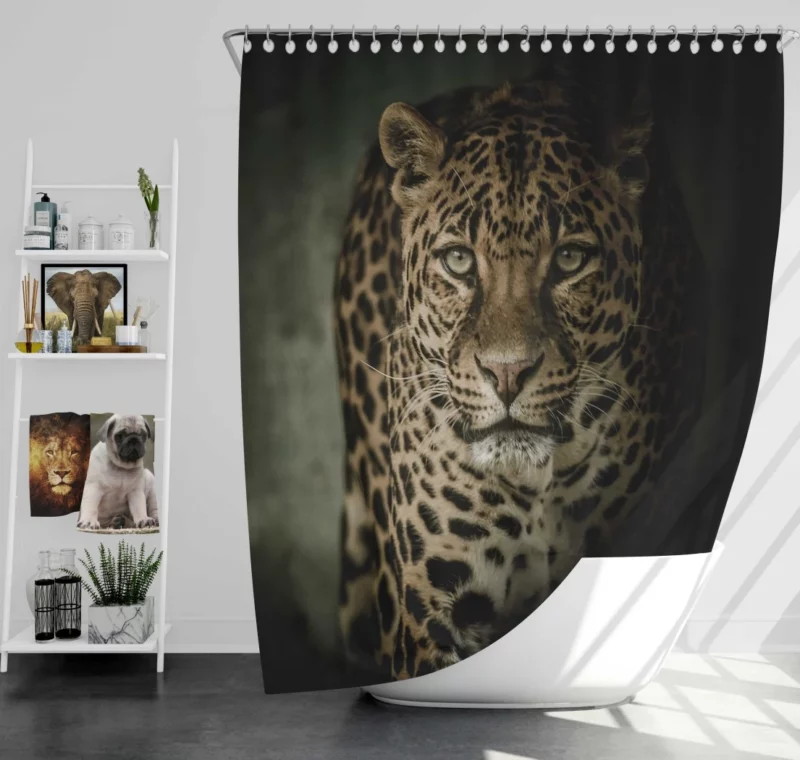 The Prowling Leopard Silent Hunter Shower Curtain