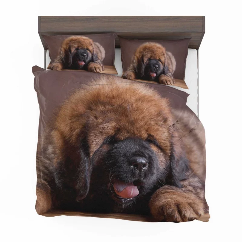 Tibetan Mastiff Enigmatic Aura Bedding Set 1