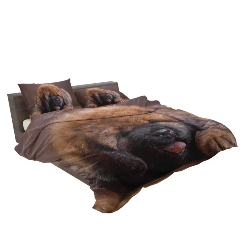 Tibetan Mastiff Enigmatic Aura Bedding Set 2