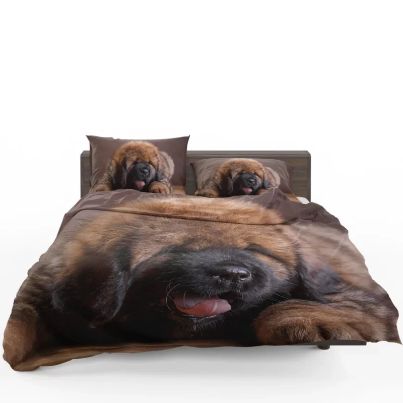 Tibetan Mastiff Enigmatic Aura Bedding Set