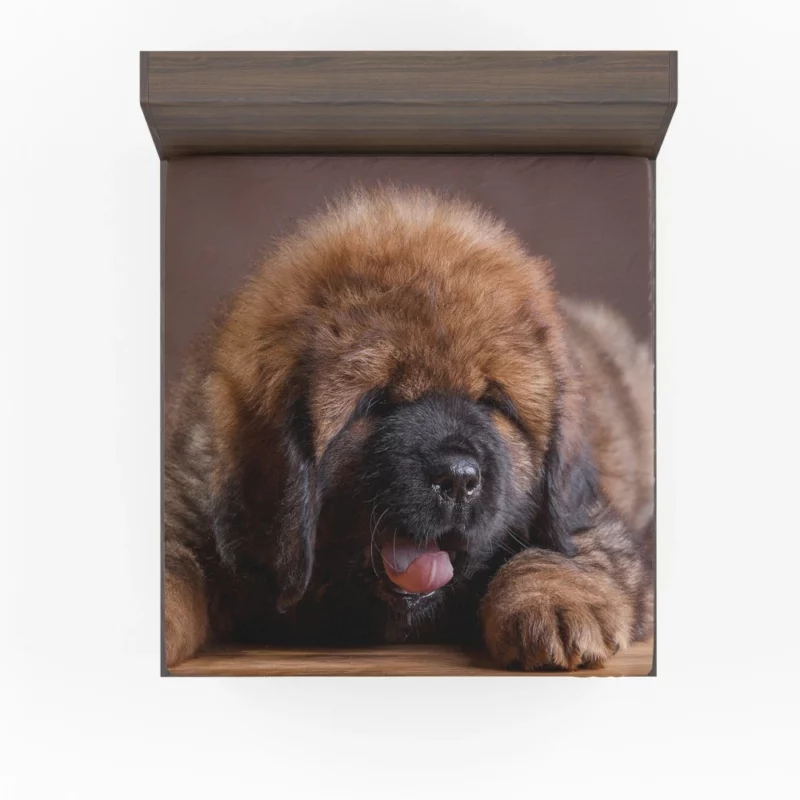 Tibetan Mastiff Enigmatic Aura Fitted Sheet 1