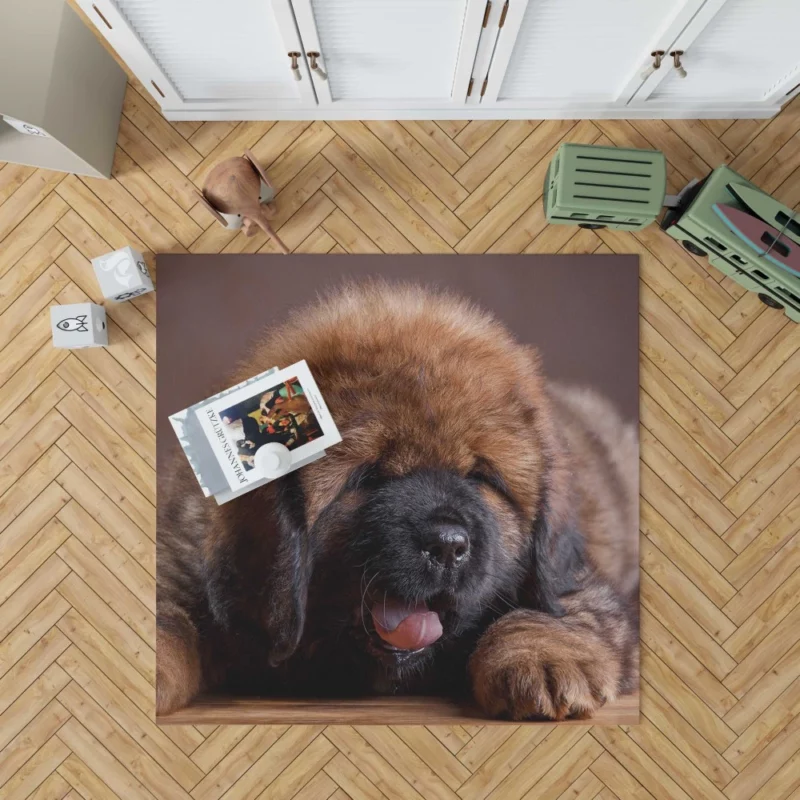 Tibetan Mastiff Enigmatic Aura Rug