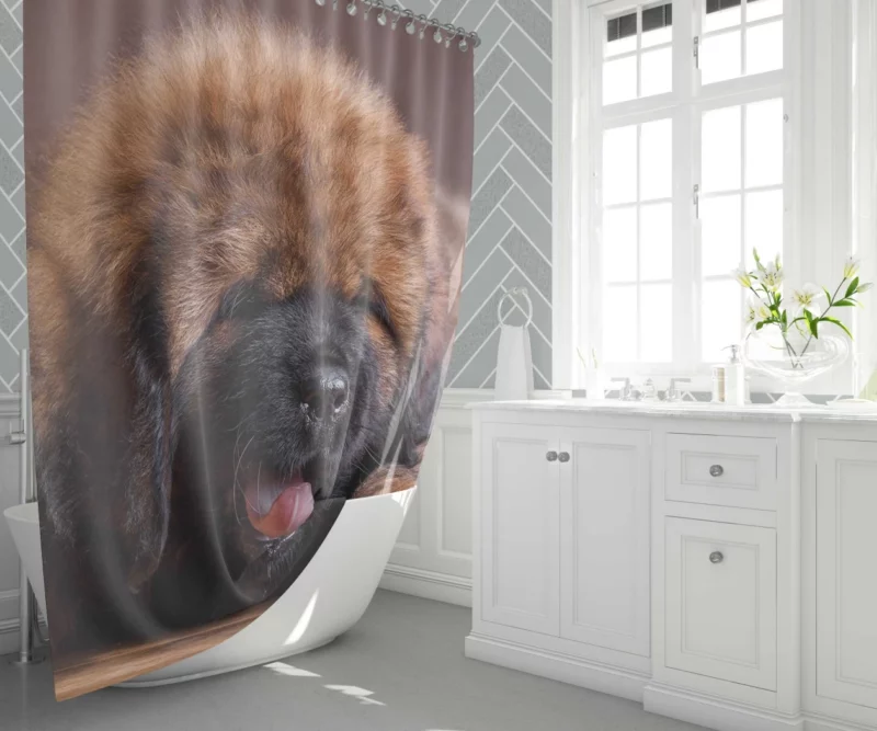 Tibetan Mastiff Enigmatic Aura Shower Curtain 1