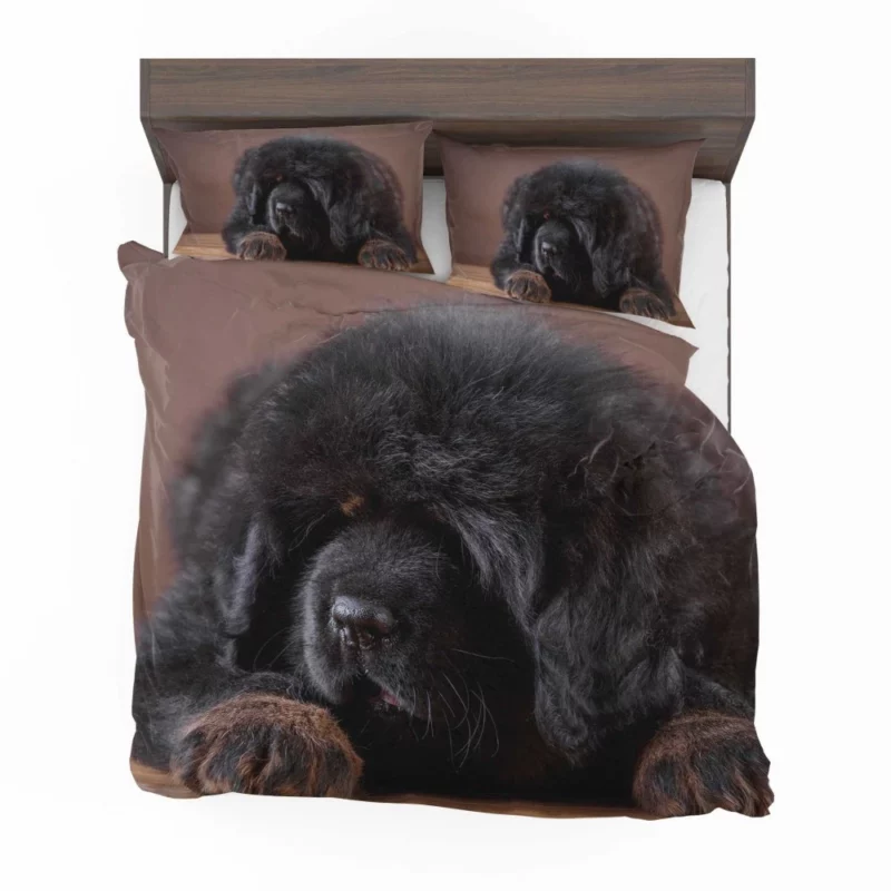 Tibetan Mastiff Puppy Majesty Bedding Set 1