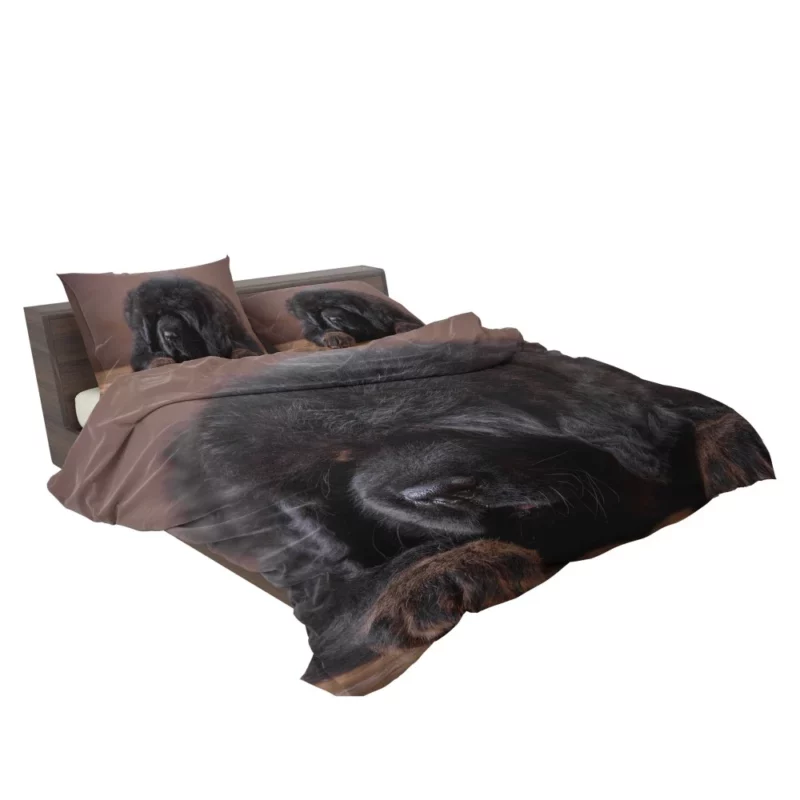 Tibetan Mastiff Puppy Majesty Bedding Set 2