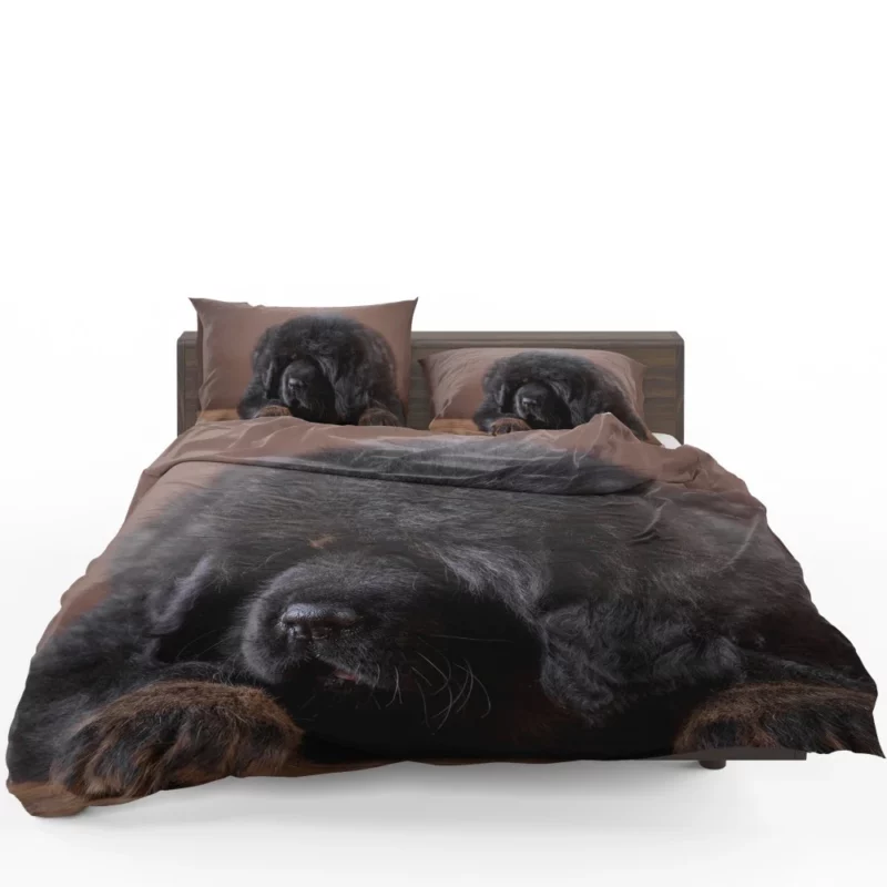 Tibetan Mastiff Puppy Majesty Bedding Set