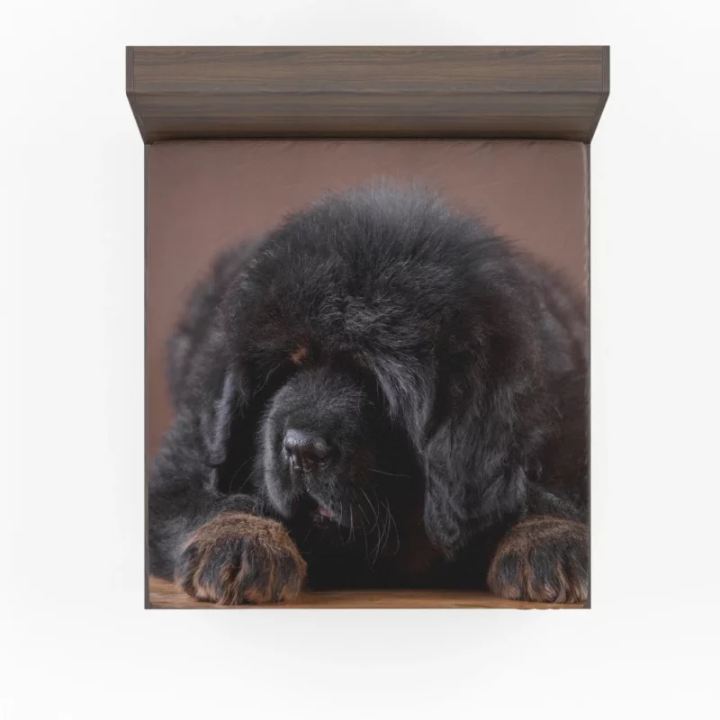 Tibetan Mastiff Puppy Majesty Fitted Sheet 1