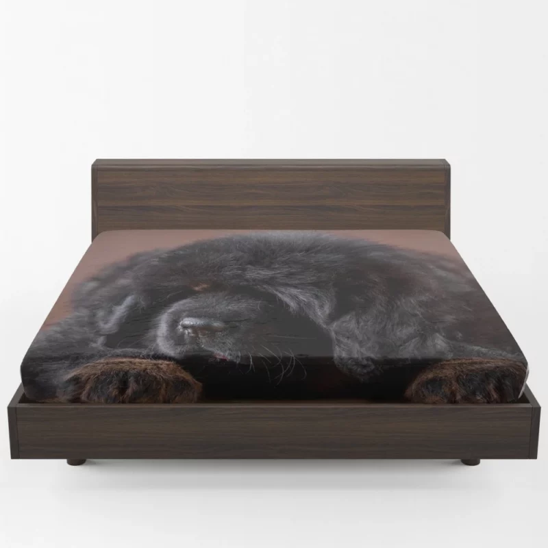 Tibetan Mastiff Puppy Majesty Fitted Sheet