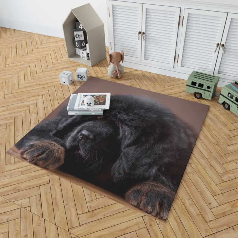 Tibetan Mastiff Puppy Majesty Rug 1