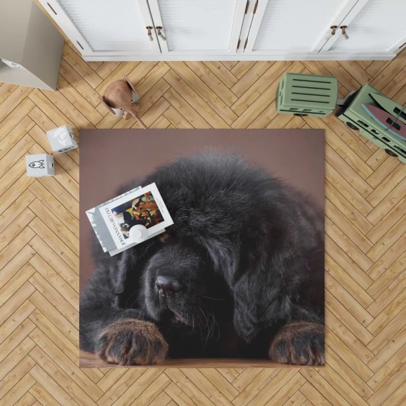 Tibetan Mastiff Puppy Majesty Rug