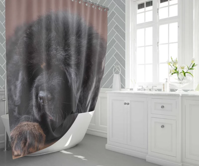 Tibetan Mastiff Puppy Majesty Shower Curtain 1