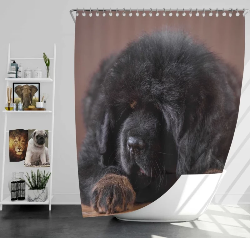 Tibetan Mastiff Puppy Majesty Shower Curtain