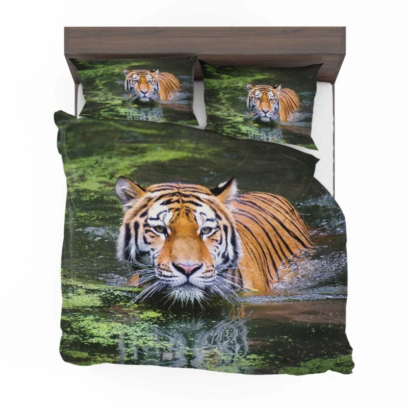 Tiger Aquatic Grace A Swim in Majesty Bedding Set 1