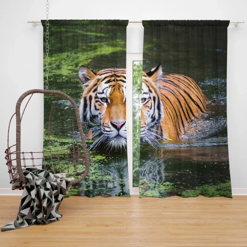 Tiger Aquatic Grace A Swim in Majesty Curtain