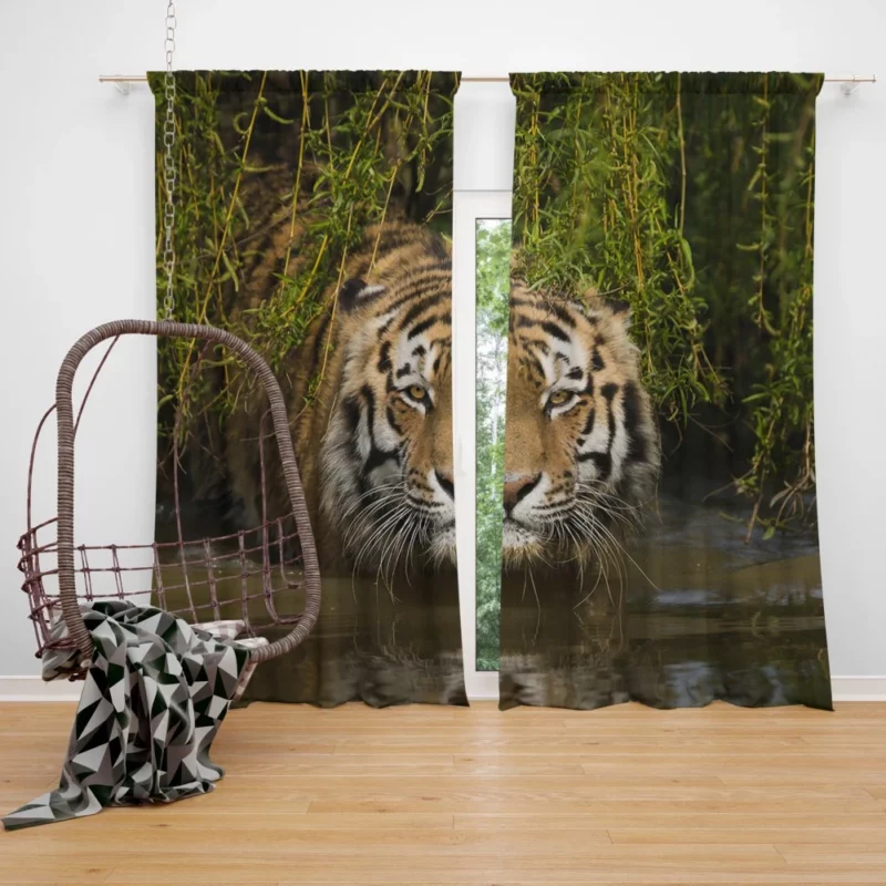 Tiger Awe-inspiring Curtain