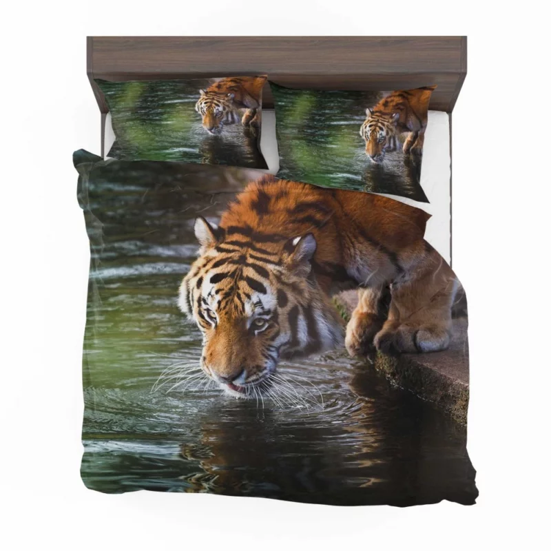 Tiger Bold Stance Wilderness Majesty Bedding Set 1