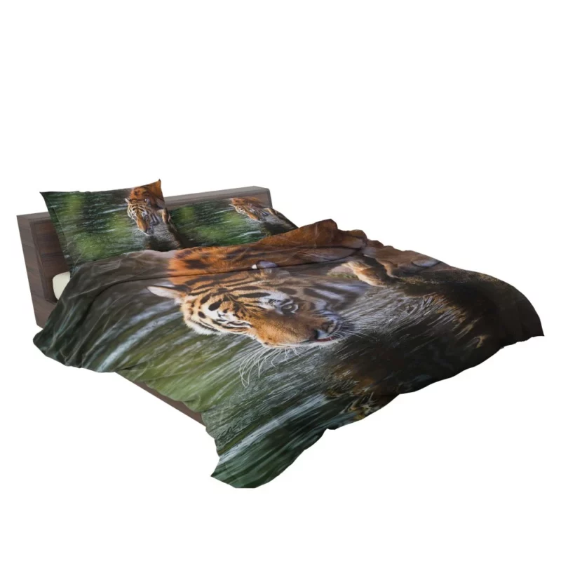 Tiger Bold Stance Wilderness Majesty Bedding Set 2