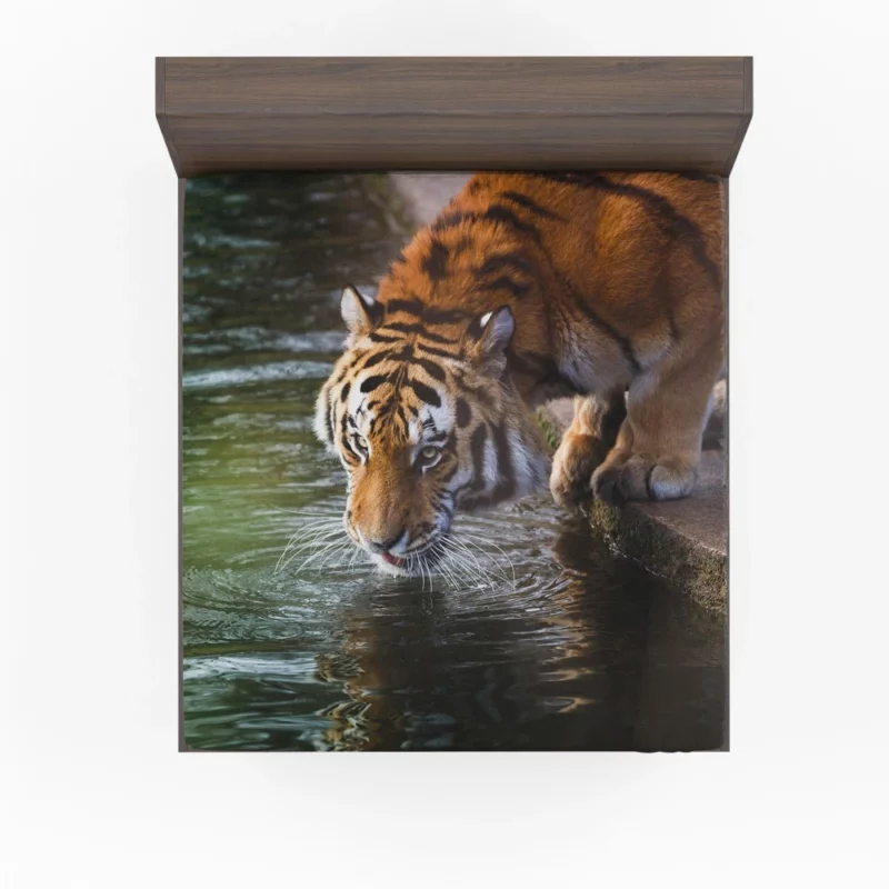 Tiger Bold Stance Wilderness Majesty Fitted Sheet 1