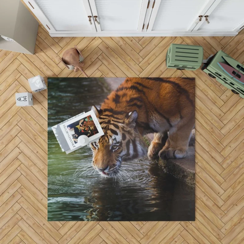 Tiger Bold Stance Wilderness Majesty Rug